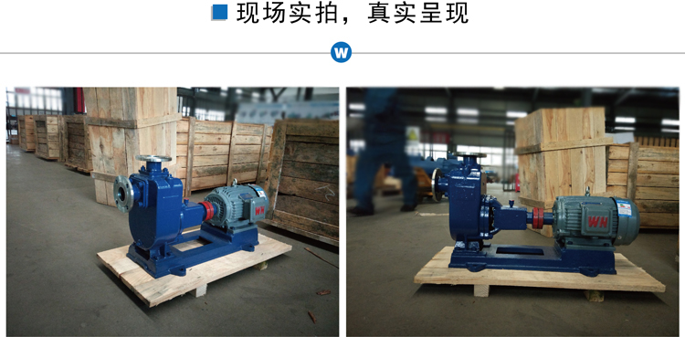 ZX不銹鋼自吸泵現(xiàn)場實拍.jpg